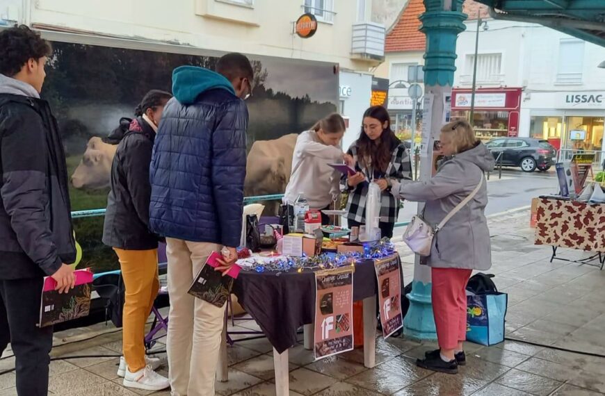 Une matinée sur le marché de Nangis