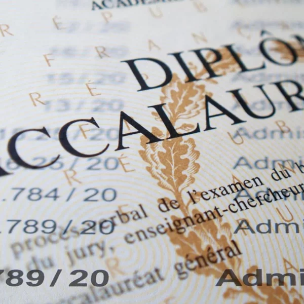 Bacheliers 2025 : remise des diplômes, procédures Unowhy, PIX et Pearltrees