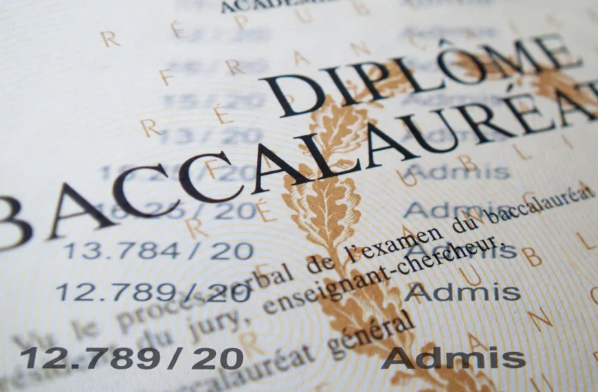 Bacheliers 2025 : remise des diplômes, procédures Unowhy, PIX et Pearltrees