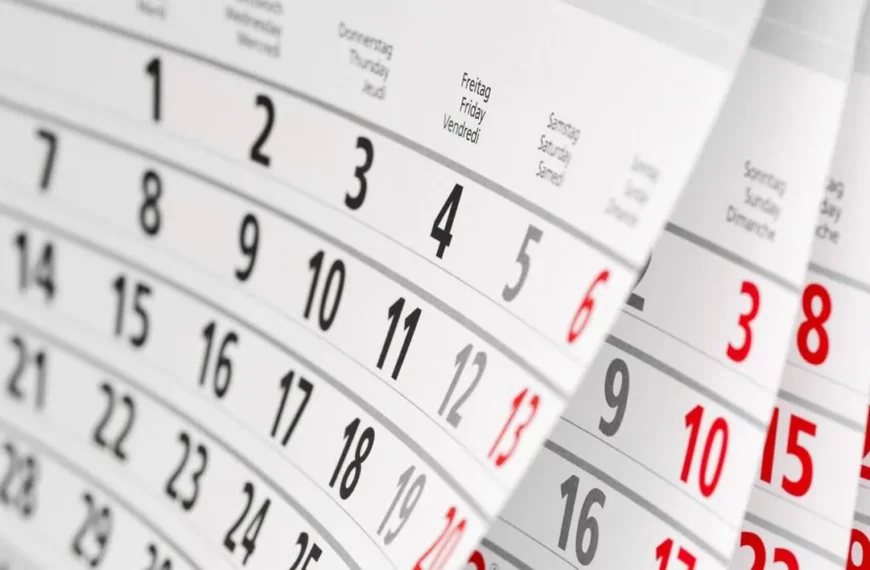 Emplois du temps définitifs